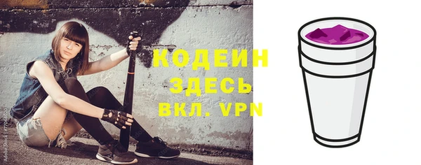 индика Корсаков