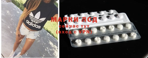 индика Корсаков
