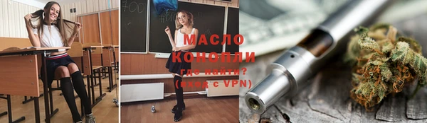 индика Корсаков