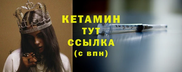 индика Корсаков