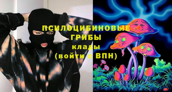 apvp Костерёво