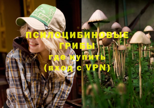 apvp Костерёво