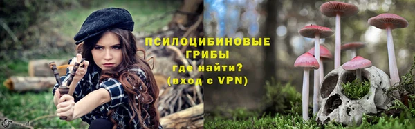 индика Корсаков