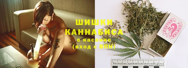 индика Корсаков