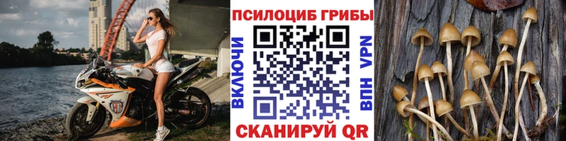 Галлюциногенные грибы Cubensis Купить где Ялта